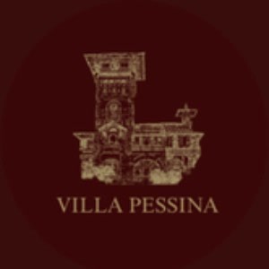 Villa Pessina logo